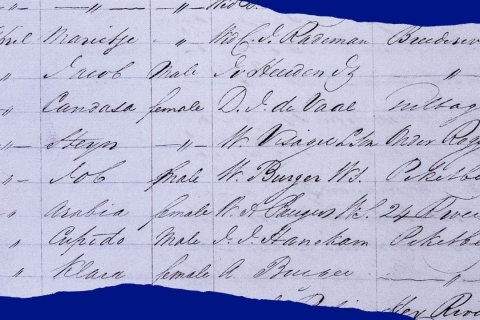 Documents and views of the archive at present