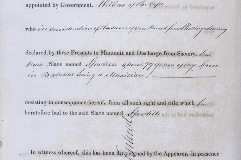 Documents and views of the archive at present